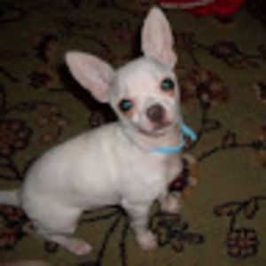 Meet your Posher, Kassi